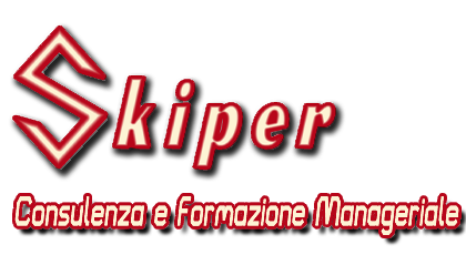 SKIPER Management Consulting
