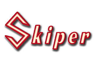 Skiper Management consulting